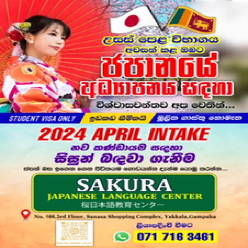 Japanese classes