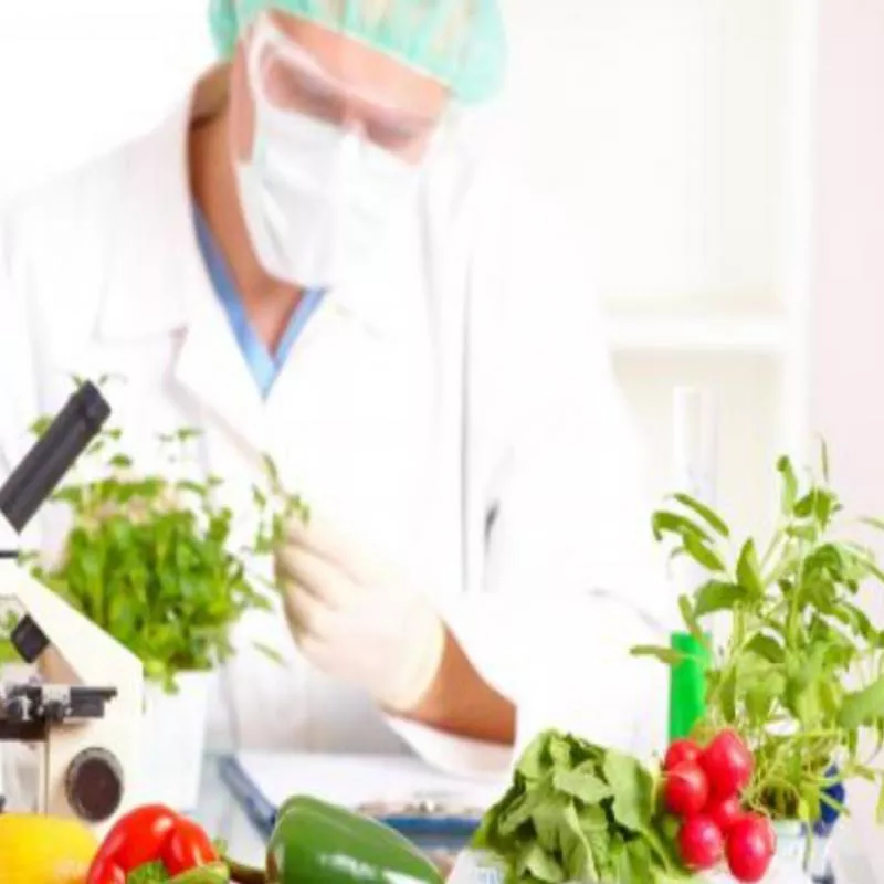 A/L & O/L Agricultural Science and Food Technology