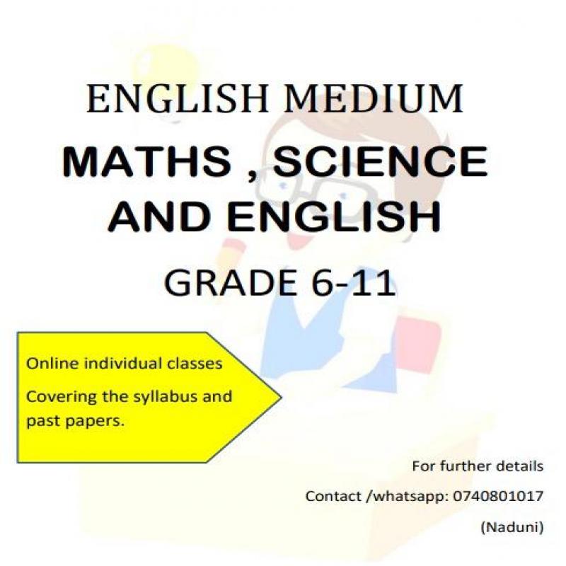 online individual tution