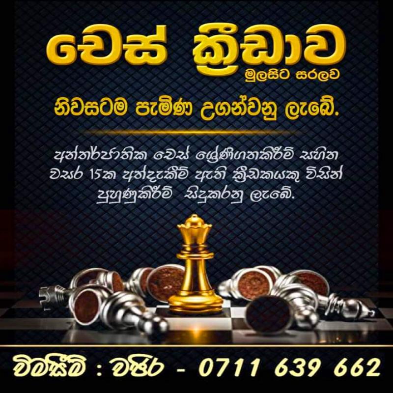 Chess Classes for beginners