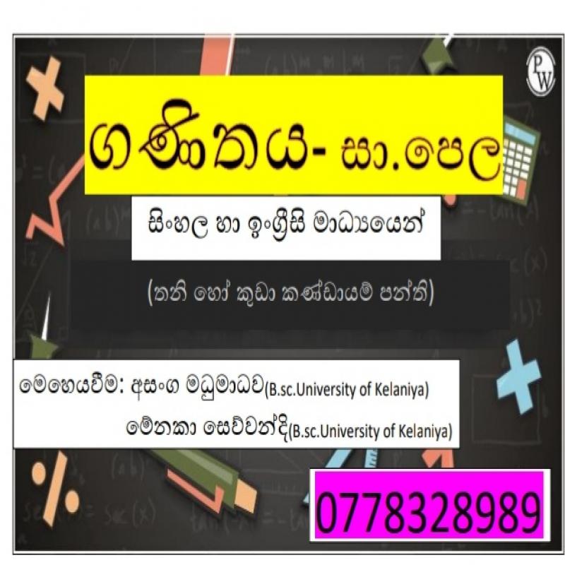 Mathematics Classes