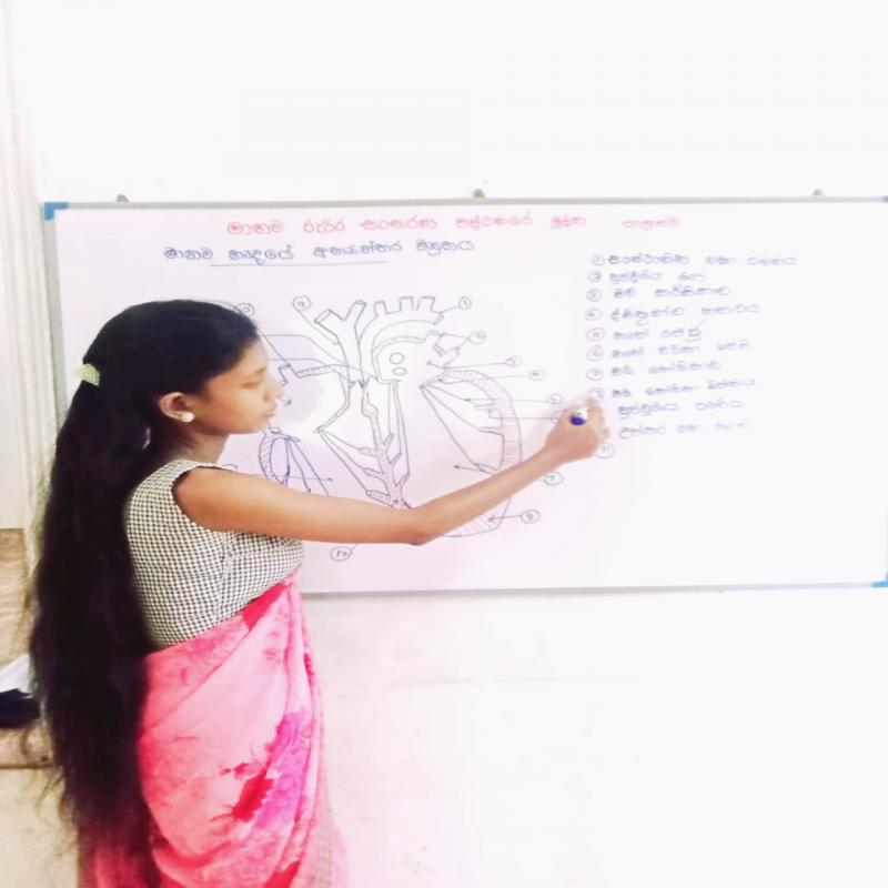 Ordinary level science