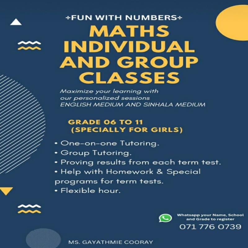 Maths Classes ( individual and group )