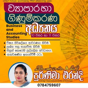 Businesses and Accounting Studies