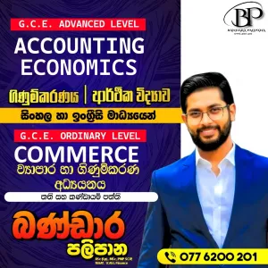 Accounting, Economics & Business Studies Classes – Sinhala & English