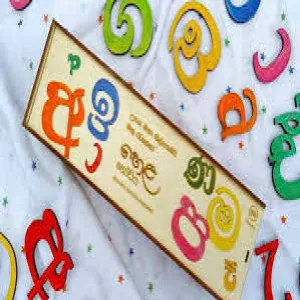 උසස් පෙළ සිංහල පන්තිය