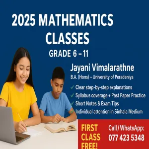 Online maths class