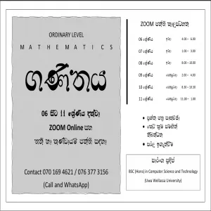 Online class for mathamatics in Sinhala Medium