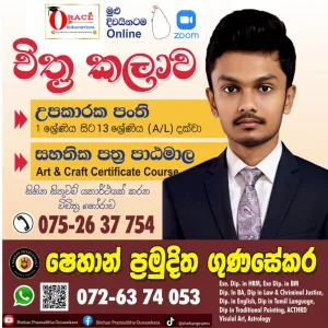 Art Class (Pre - School - Grade 13 (A/L)