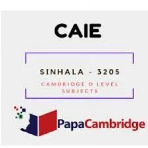 Online/home-visit individual English classes for edexcel & cambridge