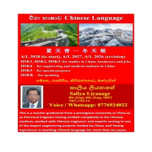 Chinese Language