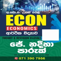 Advanced Level Economics
