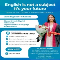 Edexcel/ Cambridge/ English Language and Literature Classes