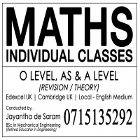 Mathematics Classes - Individual