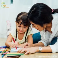 Shadow Teacher Required