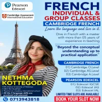 French for  Edexcel and Cambridge Students