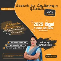 Business and Accounting Studies
