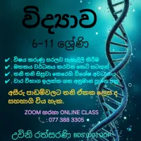 6-11 Science