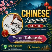 Chinese Classes