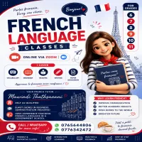 Online French Classes 