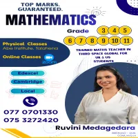 Maths Tution  |  Grades 3 –11  |  Local & Edexcel - Online v