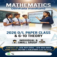 Mathematics Home Visit Classes | Grades 6–11 & 2026 O/L