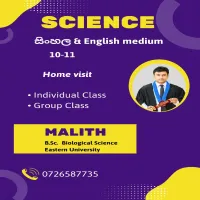 grade 10-11 science  individual/home visit/ online class