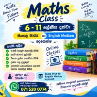 Online Maths class grade 6-11