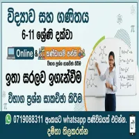 6-11 විද්‍යාව සහ ගණිතය