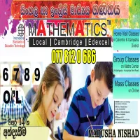 6 සිට 11 ශ්‍රේණි දක්වා ගණිතය - විශිෂ්ට ප්‍රතිඵල කරා!