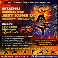 Fighting Tigers Kung Fu School | Kung Fu | Wushu | Muay Thai