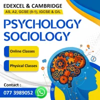 The Most Experienced Sociology and Psychology Teacher